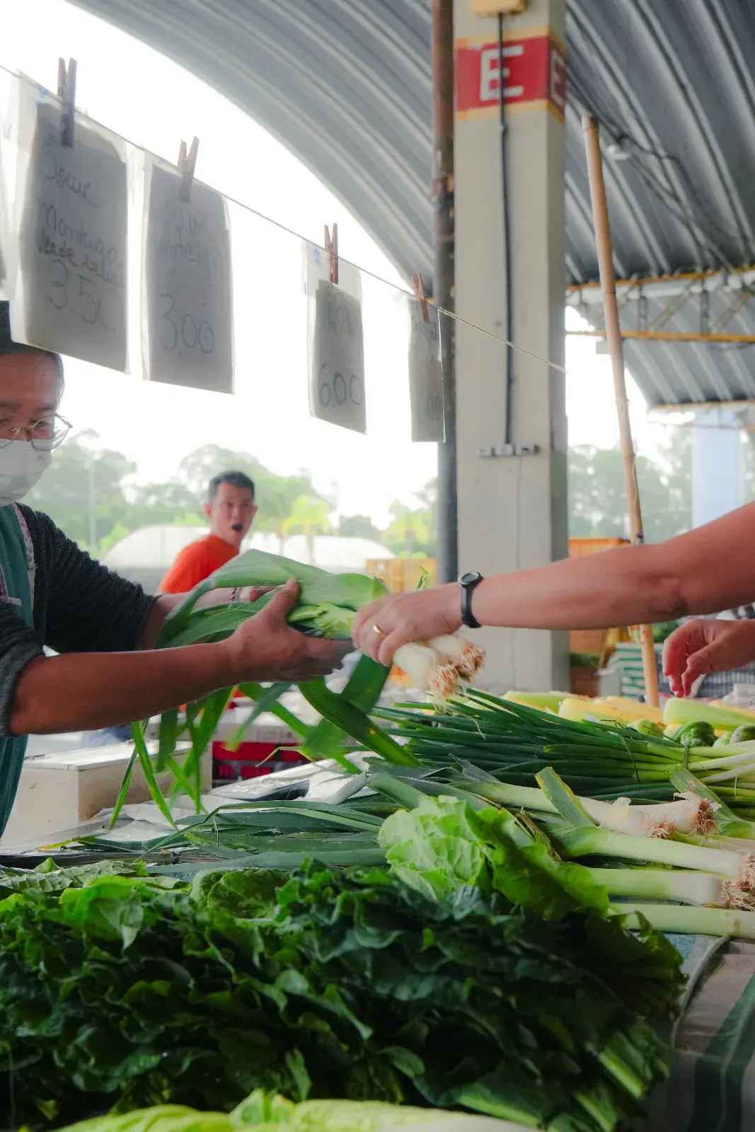 Verduras e legumes escolhidos a mão na feira para a cozinha da Feitoria